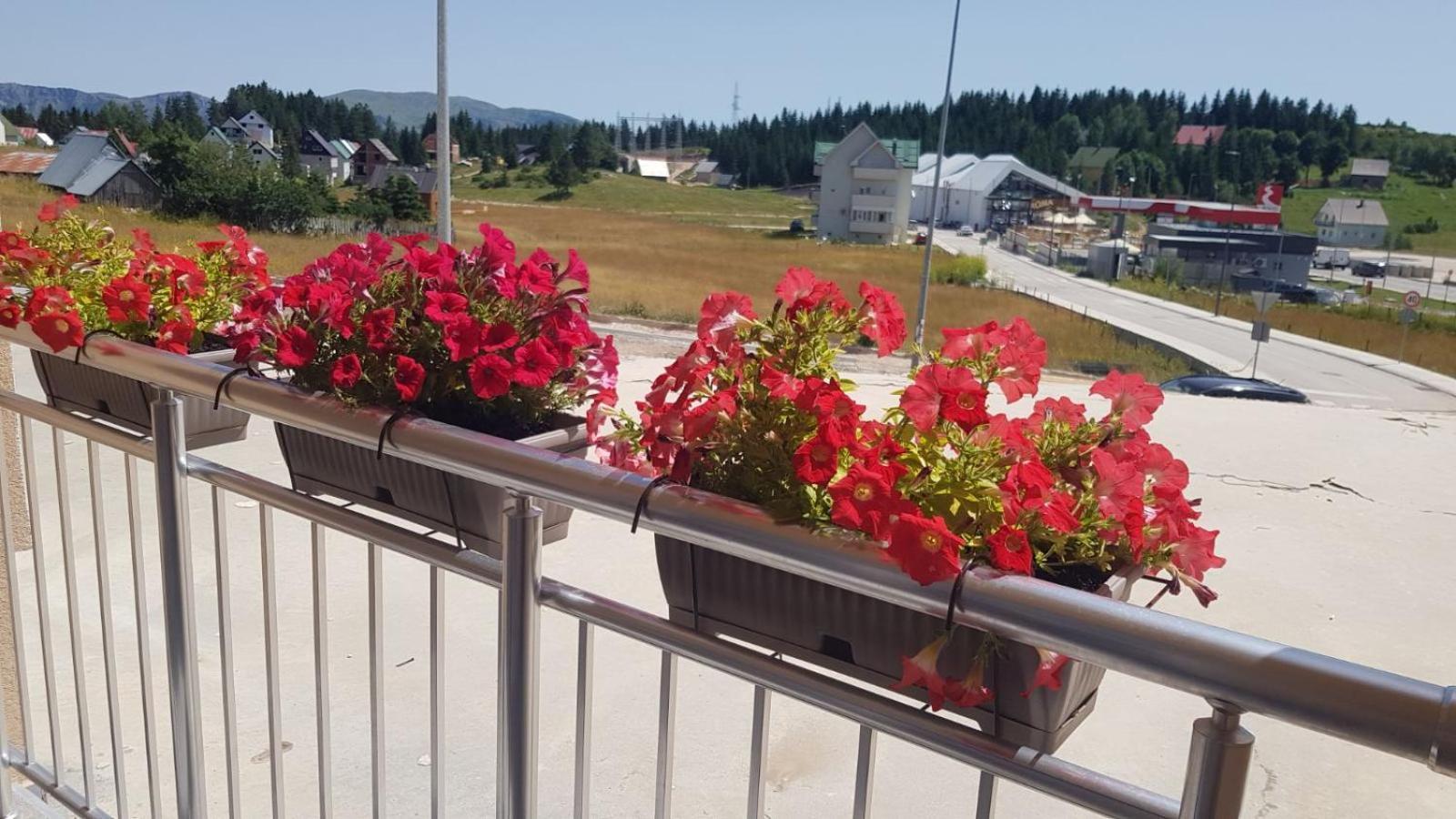 Apartman Get Rest Žabljak Zewnętrze zdjęcie